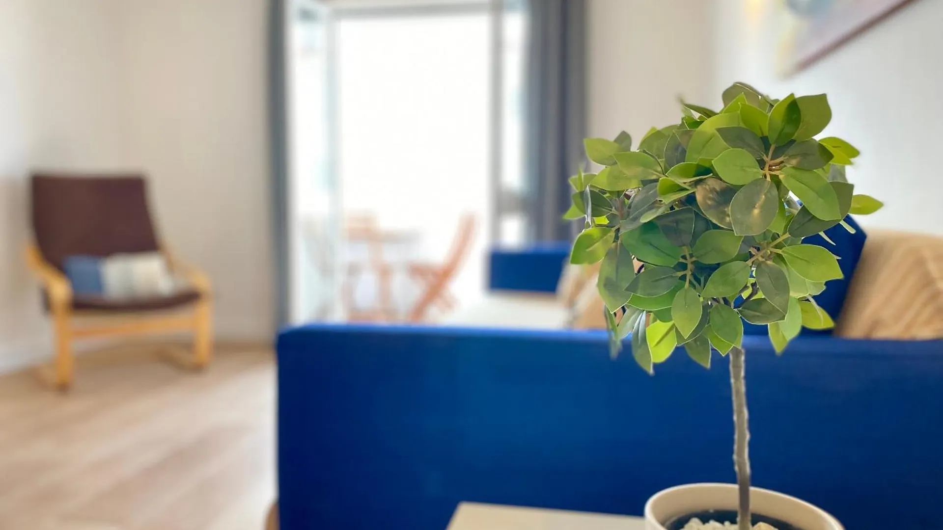 Lejlighed Apartamento 2M - Praia Do Carvoeiro Carvoeiro